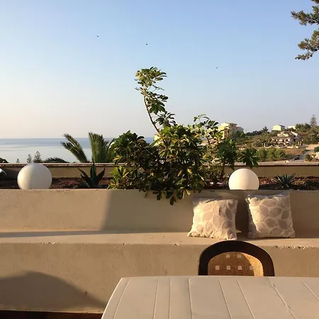 Palma 레알몬테