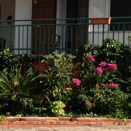 Palma 레알몬테